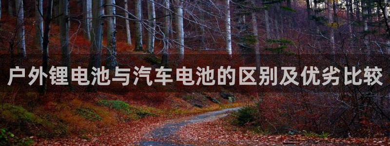 优发国际怎么样：户外锂电池与汽车电池的区别及优劣比较